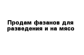 Продам фазанов для разведения и на мясо